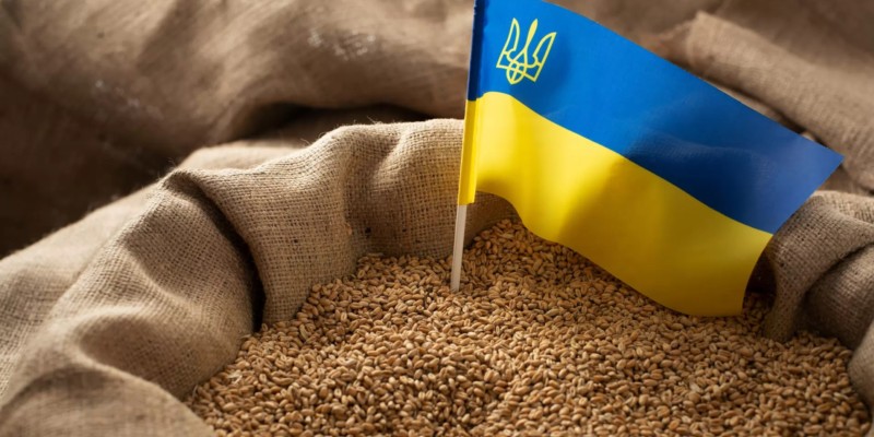 Republica Moldova interzice temporar importul de grâne și produse oleaginoase din Ucraina vecină