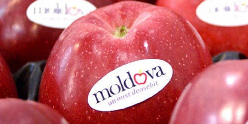 Mărul, miezul dulce al globului moldovenesc