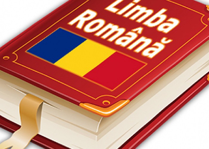 Un număr record de persoane s-au înscris în R. Moldova pentru a învăța gratuit limba română. Cum funcționează programul oferit de autoritățile de la Chișinău