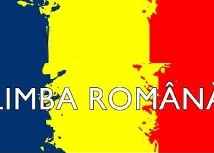 Vot final în Parlamentul R.Moldova: Sintagma de sorginte sovietică "limba moldovenească", aruncată la coșul de gunoi al istoriei! Limba oficială este Limba Română!